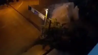 Instagram/kris_p_almaty, фото - Новости Zakon.kz от 24.06.2020 10:26