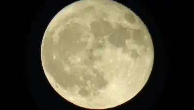 Zakon.kz, фото - Новости Zakon.kz от 15.11.2016 05:20