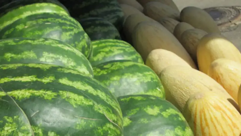 В арбузах и дынях, продаваемых на алматинских улицах норма нитратов превышена вдвое