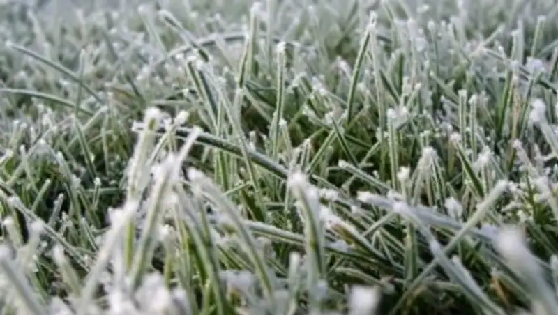 В ряде областей Казахстана ожидаются заморозки