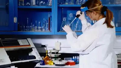 Zakon.kz, фото - Новости Zakon.kz от 29.12.2016 16:52