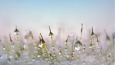 погода, дождь, снег казгидромет, фото - Новости Zakon.kz от 22.12.2021 17:04