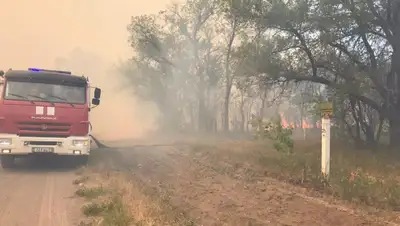 техника, фото - Новости Zakon.kz от 04.07.2022 13:14