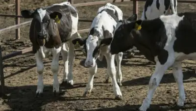 Zakon.kz, фото - Новости Zakon.kz от 21.06.2015 12:43