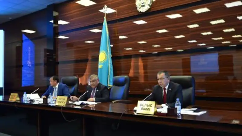 Депутаты положительно оценили работу акима ЮКО Жансеита Туймебаева