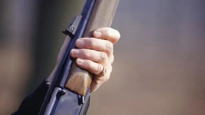 В МВД прокомментировали заявление Токмади об убийстве Татишева