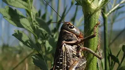 Zakon.kz, фото - Новости Zakon.kz от 06.03.2014 19:16