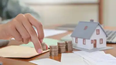 envato.com, фото - Новости Zakon.kz от 03.02.2021 18:57