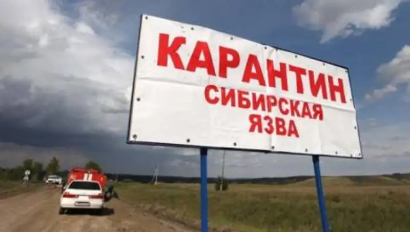 Несколько человек заразились сибирской язвой в Костанайской области