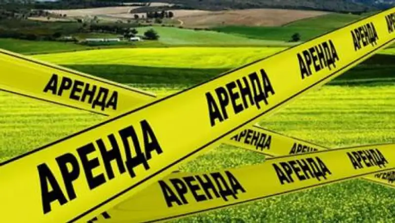 Субаренда сельхозземли процветает, несмотря на запрет - аграрии