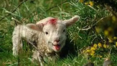 Zakon.kz, фото - Новости Zakon.kz от 16.04.2014 21:41