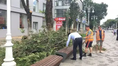 Пресс-служба акимата Алматы, фото - Новости Zakon.kz от 12.07.2018 11:17