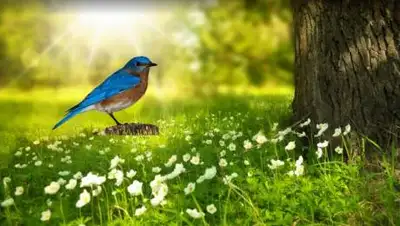 pxhere.com, фото - Новости Zakon.kz от 28.06.2021 11:01