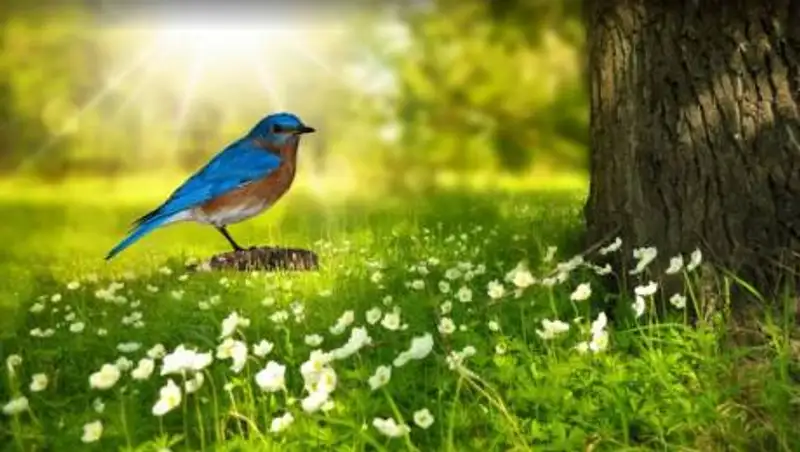 Жара до 42 градусов ожидает казахстанцев