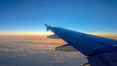 pixabay.com, фото - Новости Zakon.kz от 01.05.2020 14:52