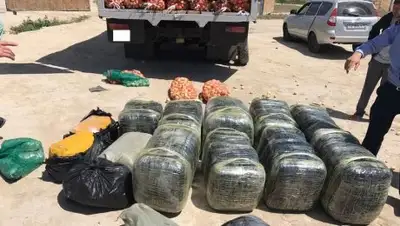 Zakon.kz, фото - Новости Zakon.kz от 28.06.2017 01:22