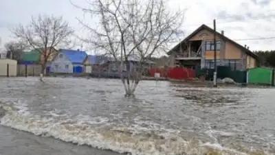 Zakon.kz, фото - Новости Zakon.kz от 26.04.2017 22:34