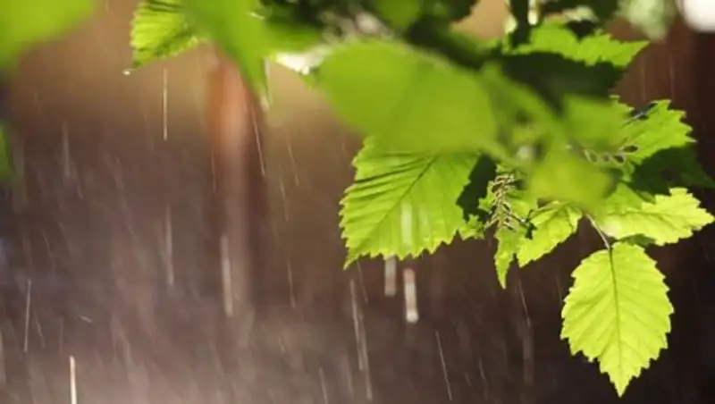 Температура до 7° ожидается в Казахстане