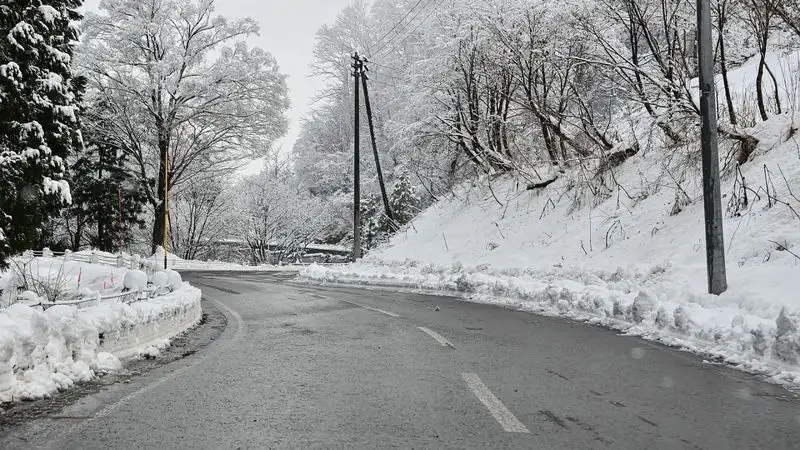 За сутки полиция сопроводила 800 автомобилей, оставшихся в непогоду на трассе