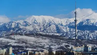 zakon.kz/Золотухин, фото - Новости Zakon.kz от 26.11.2020 15:47