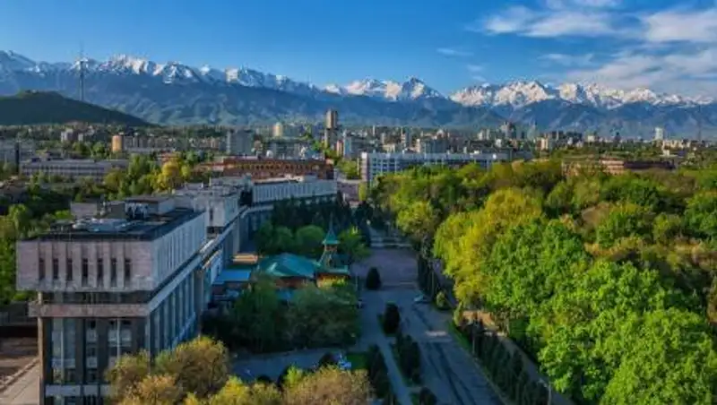 Каждое дерево в Алматы получит паспорт