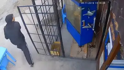 YouTube, фото - Новости Zakon.kz от 11.11.2019 08:31