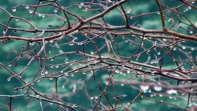 Zakon.kz, фото - Новости Zakon.kz от 14.03.2016 17:52