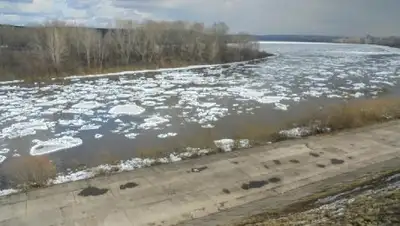 Zakon.kz, фото - Новости Zakon.kz от 10.03.2017 21:07