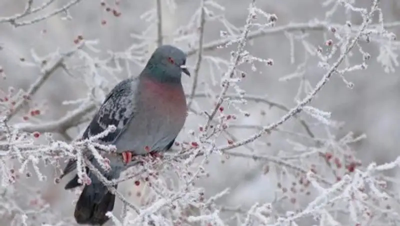 Штормовое предупреждение объявлено в трех областях Казахстана