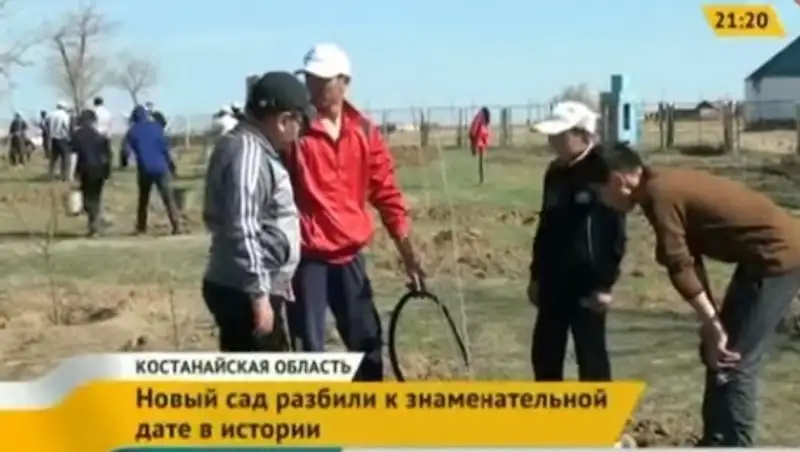 В Костанайской области сельчане высадили 550 деревьев в честь юбилея Казахского ханства