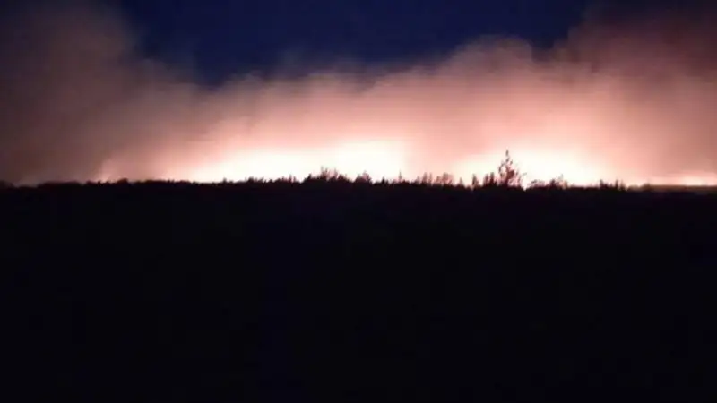 Пожар в области Абай, фото - Новости Zakon.kz от 23.05.2023 14:30