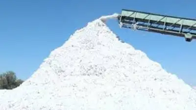 Zakon.kz, фото - Новости Zakon.kz от 27.10.2016 20:14