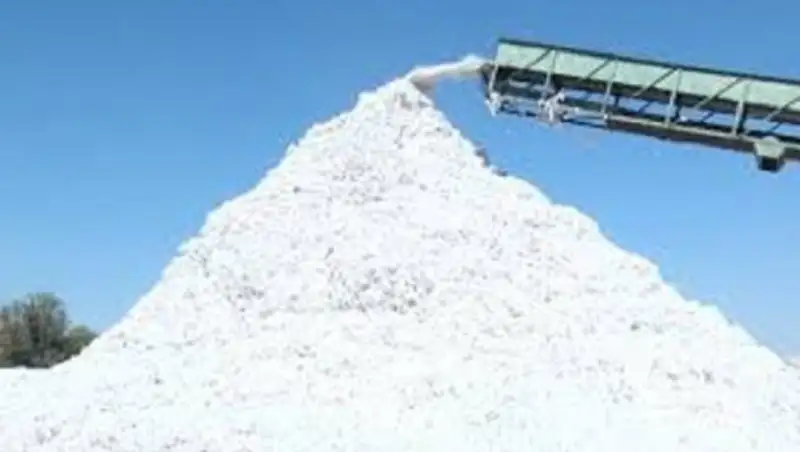 О&#1178;О шаруалары ма&#1179;таны&#1187; гектарынан 24 центнерден &#1257;нім алуда