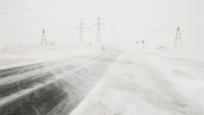 Zakon.kz, фото - Новости Zakon.kz от 20.01.2017 22:59