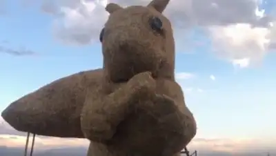 скриншот, фото - Новости Zakon.kz от 18.07.2018 06:01