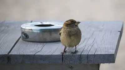 У жителя Уральска изъяли контрабандные сигареты на 59 млн тенге, фото - Новости Zakon.kz от 02.05.2023 14:53