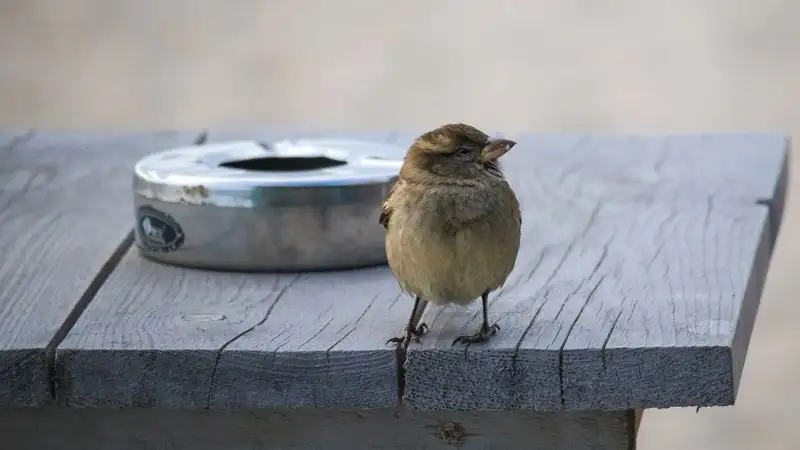 У жителя Уральска изъяли контрабандные сигареты на 59 млн тенге