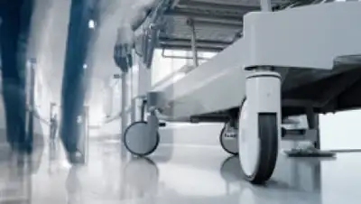 knews, фото - Новости Zakon.kz от 20.02.2020 08:19