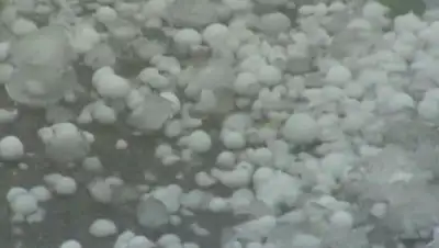 Zakon.kz, фото - Новости Zakon.kz от 09.07.2015 16:57