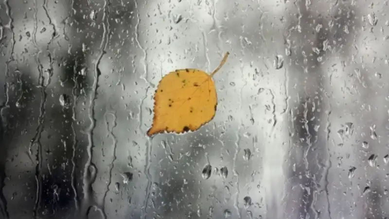 На большей части Казахстана ожидаются дожди