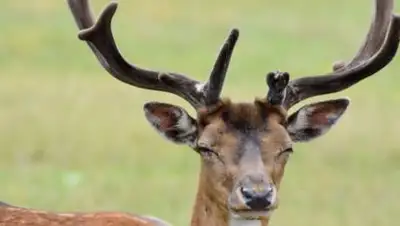 pxhere.com, фото - Новости Zakon.kz от 10.09.2021 13:14