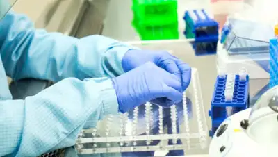 aqmolanews, фото - Новости Zakon.kz от 20.08.2020 08:16