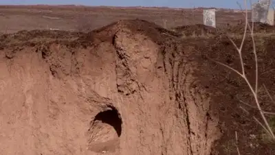 Скриншот с видео, фото - Новости Zakon.kz от 24.02.2018 01:47