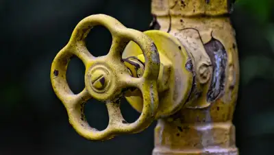 pixabay.com, фото - Новости Zakon.kz от 27.08.2019 23:30