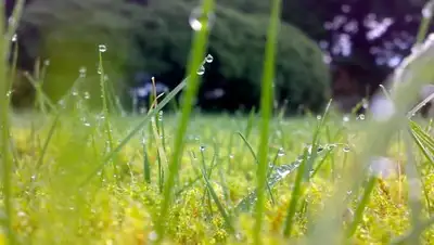 Zakon.kz, фото - Новости Zakon.kz от 04.07.2016 12:04