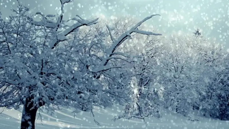 Сильные снегопады и метели ожидают казахстанцев в выходные