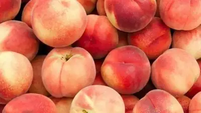 Zakon.kz, фото - Новости Zakon.kz от 13.08.2017 13:02