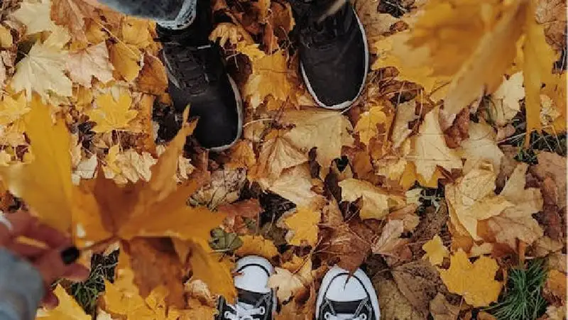 Врач предупредила об опасности для здоровья опавшей листвы
