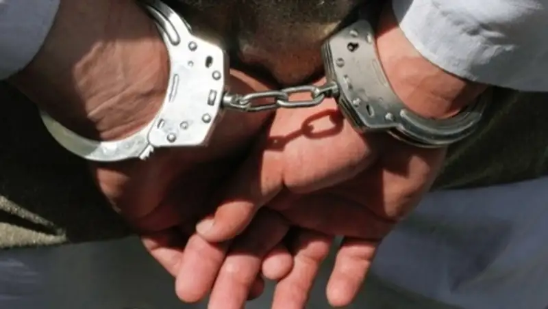 Спецслужбы Египта девять часов допрашивали журналиста