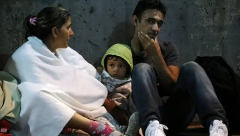 Гуманитарные организации попросили власти США принять 100 тыс. беженцев из Сирии